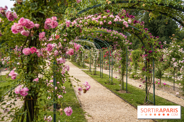Photos : La Roseraie du val-de-Marne