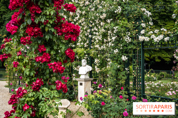 Photos : La Roseraie du val-de-Marne