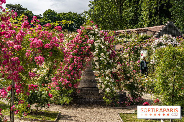 Photos : La Roseraie du val-de-Marne