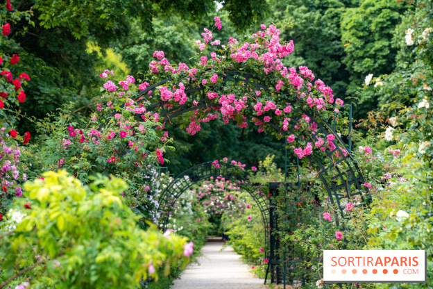 Photos : La Roseraie du val-de-Marne