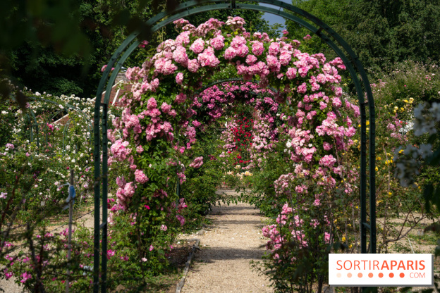 Photos : La Roseraie du val-de-Marne