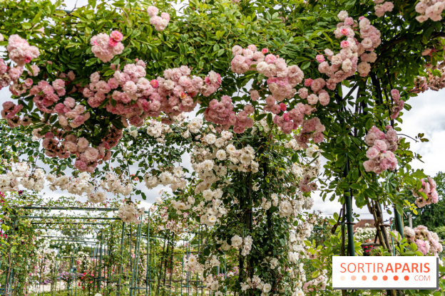 Photos : La Roseraie du val-de-Marne