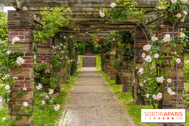 La Roseraie du Parc Lebaudy sur l'Ile de Puteaux