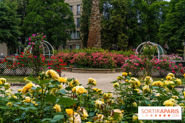 La roseraie du Square René-le-Gall