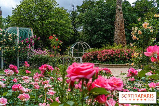 La roseraie du Square René-le-Gall