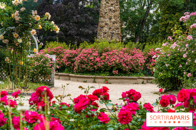 La roseraie du Square René-le-Gall