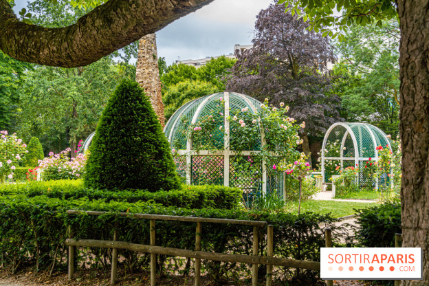 La roseraie du Square René-le-Gall