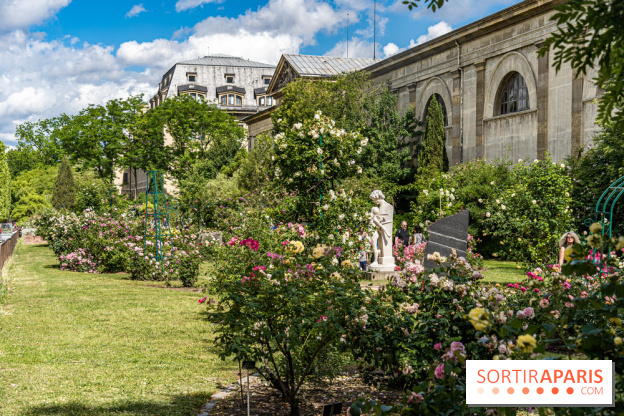 Photos La roseraie du Jardin des Plantes 