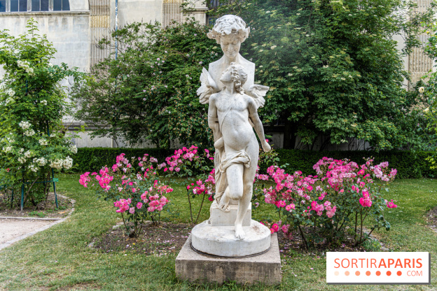 Photos La roseraie du Jardin des Plantes 