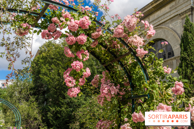 Photos La roseraie du Jardin des Plantes 
