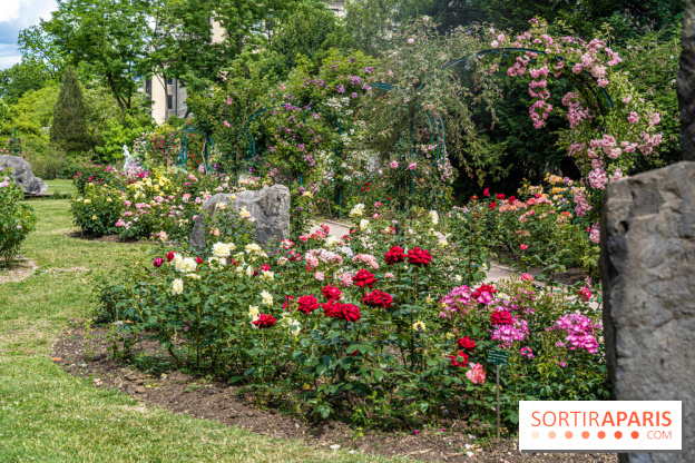 Photos La roseraie du Jardin des Plantes 