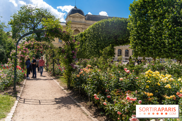 Photos La roseraie du Jardin des Plantes 