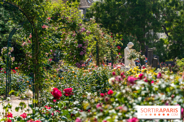 Photos La roseraie du Jardin des Plantes 