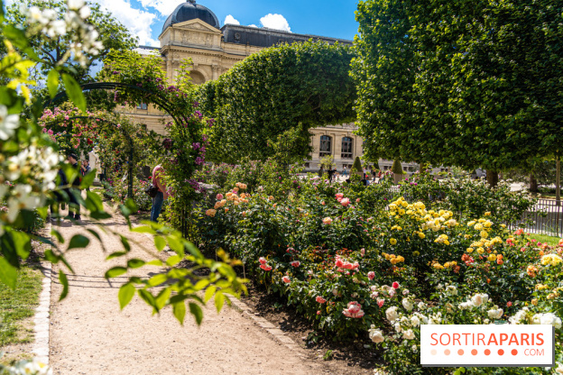 Photos La roseraie du Jardin des Plantes 