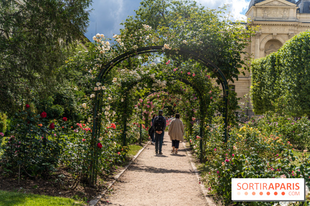 Photos La roseraie du Jardin des Plantes 