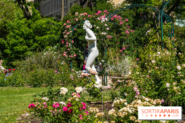 Photos La roseraie du Jardin des Plantes 