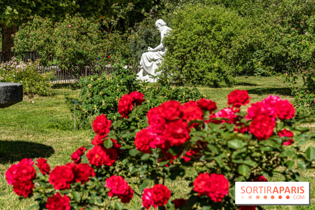 Photos La roseraie du Jardin des Plantes 