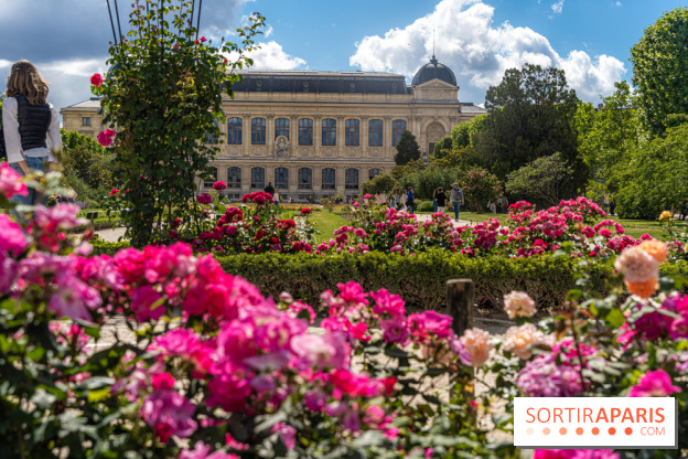 Photos La roseraie du Jardin des Plantes 