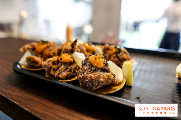 HOBA à Paris, nos photos