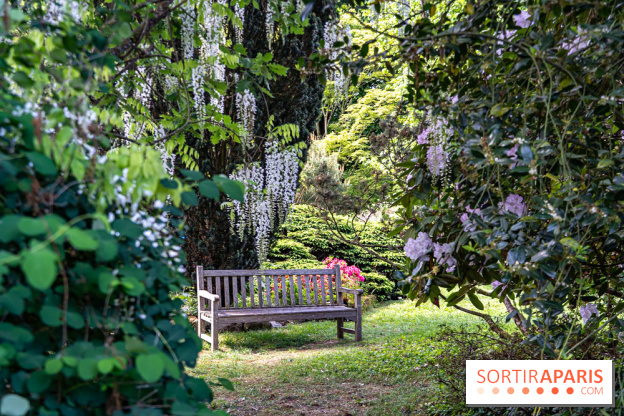 Arboretum de la Vallée-aux-Loups, une balade au milieu des arbres remarquables - A7C07813