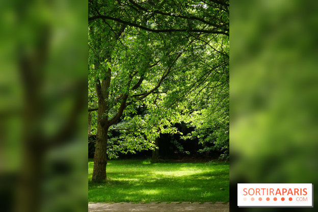 Arboretum de la Vallée-aux-Loups, une balade au milieu des arbres remarquables
