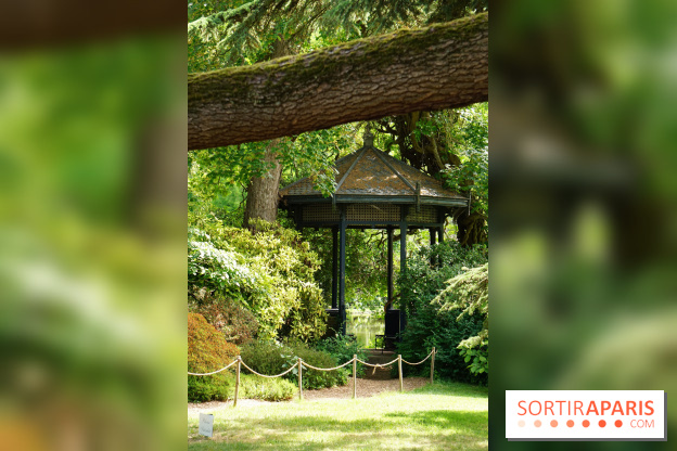 Arboretum de la Vallée-aux-Loups, une balade au milieu des arbres remarquables