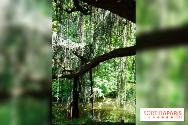 Arboretum de la Vallée-aux-Loups, une balade au milieu des arbres remarquables