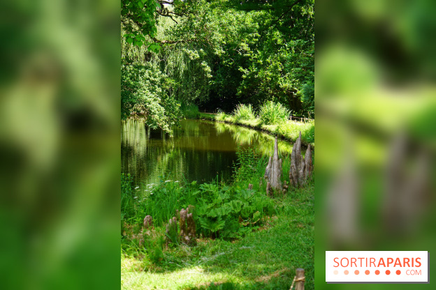 Arboretum de la Vallée-aux-Loups, une balade au milieu des arbres remarquables