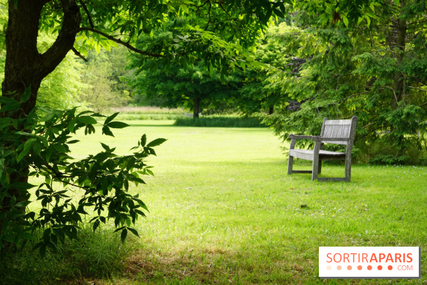 Arboretum de la Vallée-aux-Loups, une balade au milieu des arbres remarquables