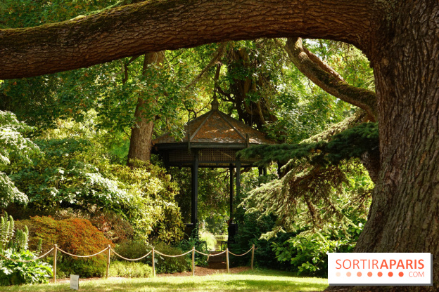 Arboretum de la Vallée-aux-Loups, une balade au milieu des arbres remarquables