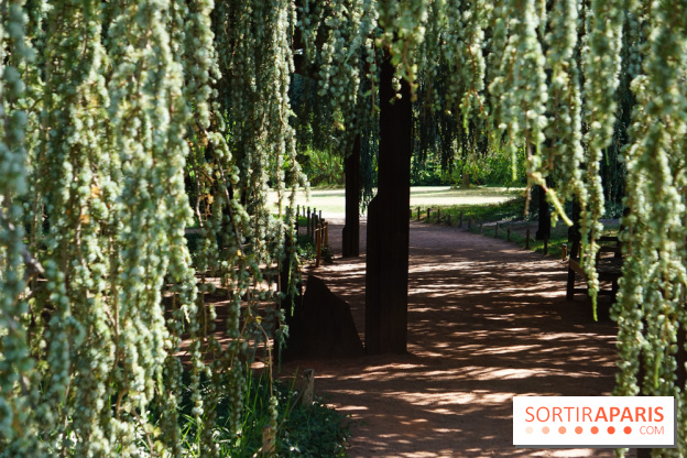 Arboretum de la Vallée-aux-Loups, une balade au milieu des arbres remarquables