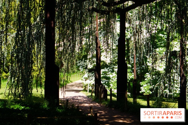 Arboretum de la Vallée-aux-Loups, une balade au milieu des arbres remarquables