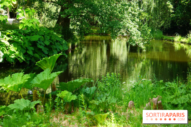Arboretum de la Vallée-aux-Loups, une balade au milieu des arbres remarquables