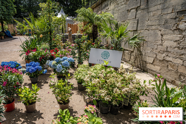 Jardins jardin aux Tuileries 2022