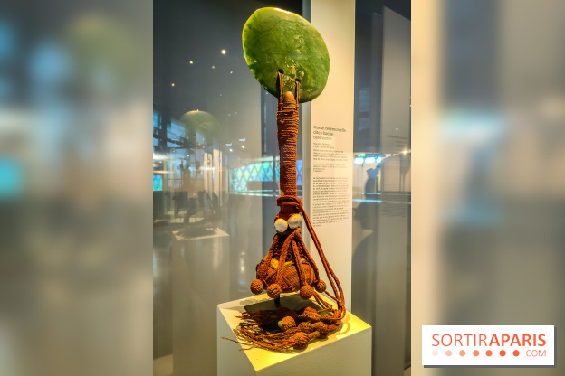 Pouvoir et prestige, art des massues du Pacifique : l'exposition du musée du Quai Branly, nos photos