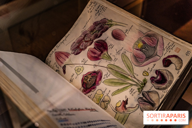 Exposition Végétal  by Chaumet aux Beaux Arts de Paris