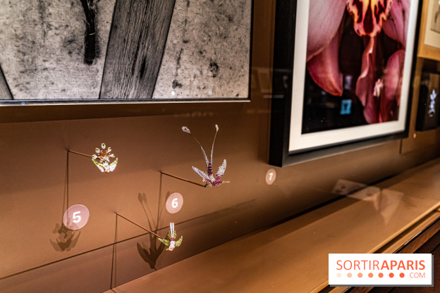 Exposition Végétal  by Chaumet aux Beaux Arts de Paris