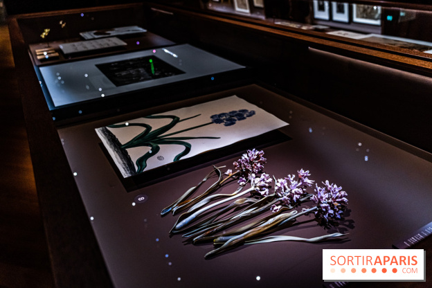 Exposition Végétal  by Chaumet aux Beaux Arts de Paris