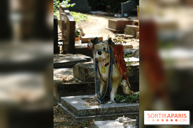 Le cimetière canin à Asnières-sur-Seine