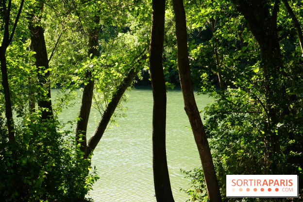 Le jardin de sculptures de la Dhyus, un lieu insolite en Île-de-France