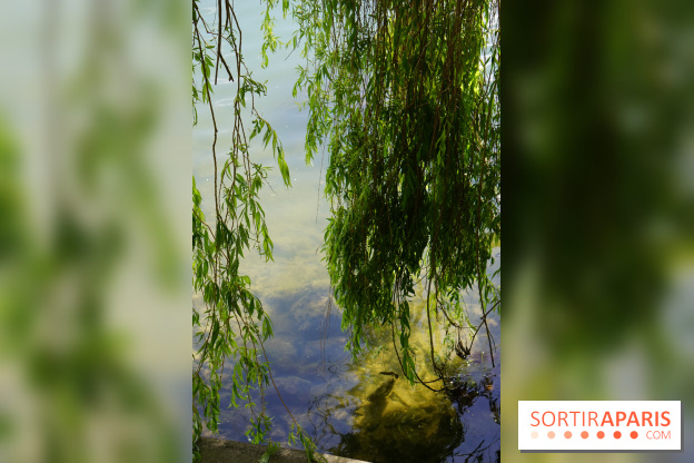 l'Île des Impressionnistes à Chatou