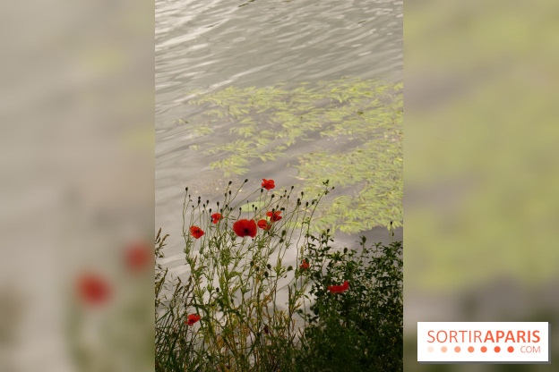 l'Île des Impressionnistes à Chatou