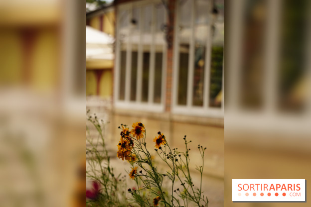 l'Île des Impressionnistes à Chatou