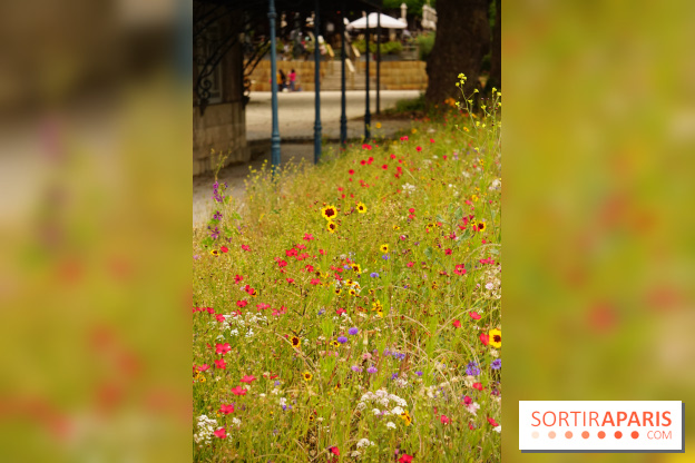 l'Île des Impressionnistes à Chatou
