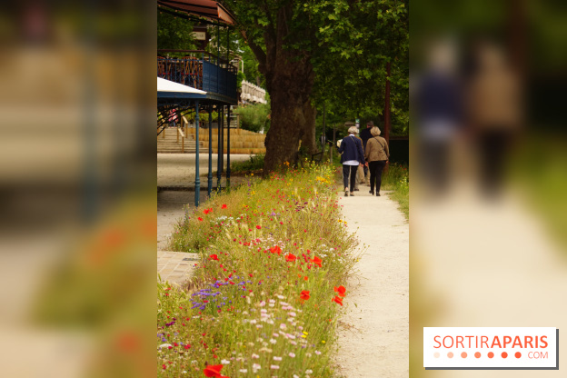 l'Île des Impressionnistes à Chatou