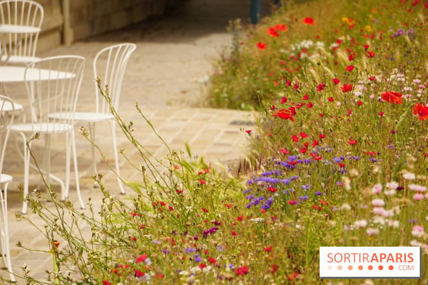 l'Île des Impressionnistes à Chatou