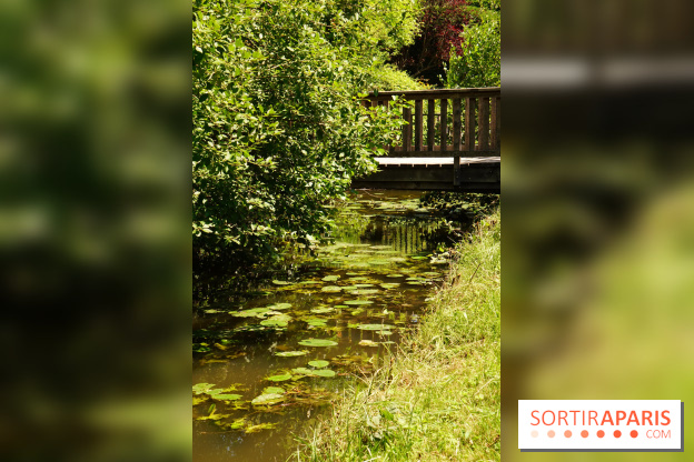 La promenade des petits ponts dans la vallée de Chevreuse