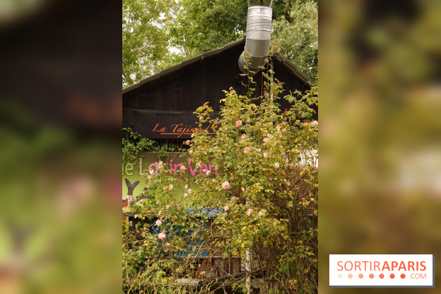 L’île Fanac à Joinville-le-Pont, un lieu incontournable à découvrir dans le Val de Marne