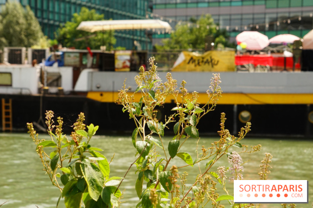 Une balade à vélo depuis Paris pour se rendre aux Cueillettes de Conflans