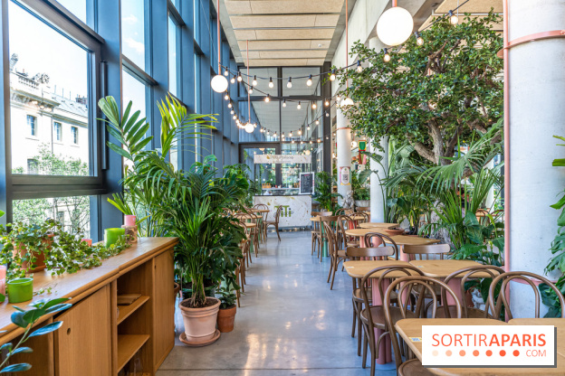 Titi Palacio, bar-restaurant festif à la Félicité 